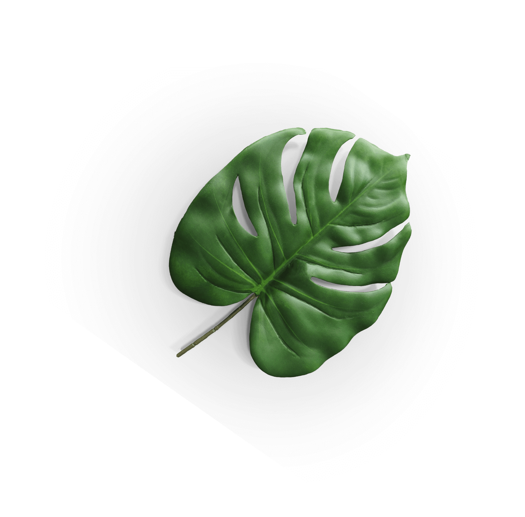 Feuille